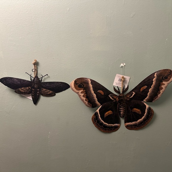Time and Place set of Metal Moth wall decor - Picture 8 of 8
